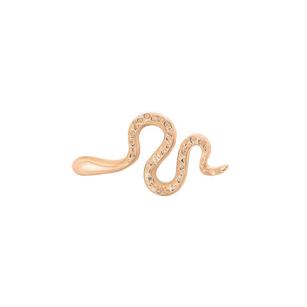 Snake From Mushroom — M.US.HROOM