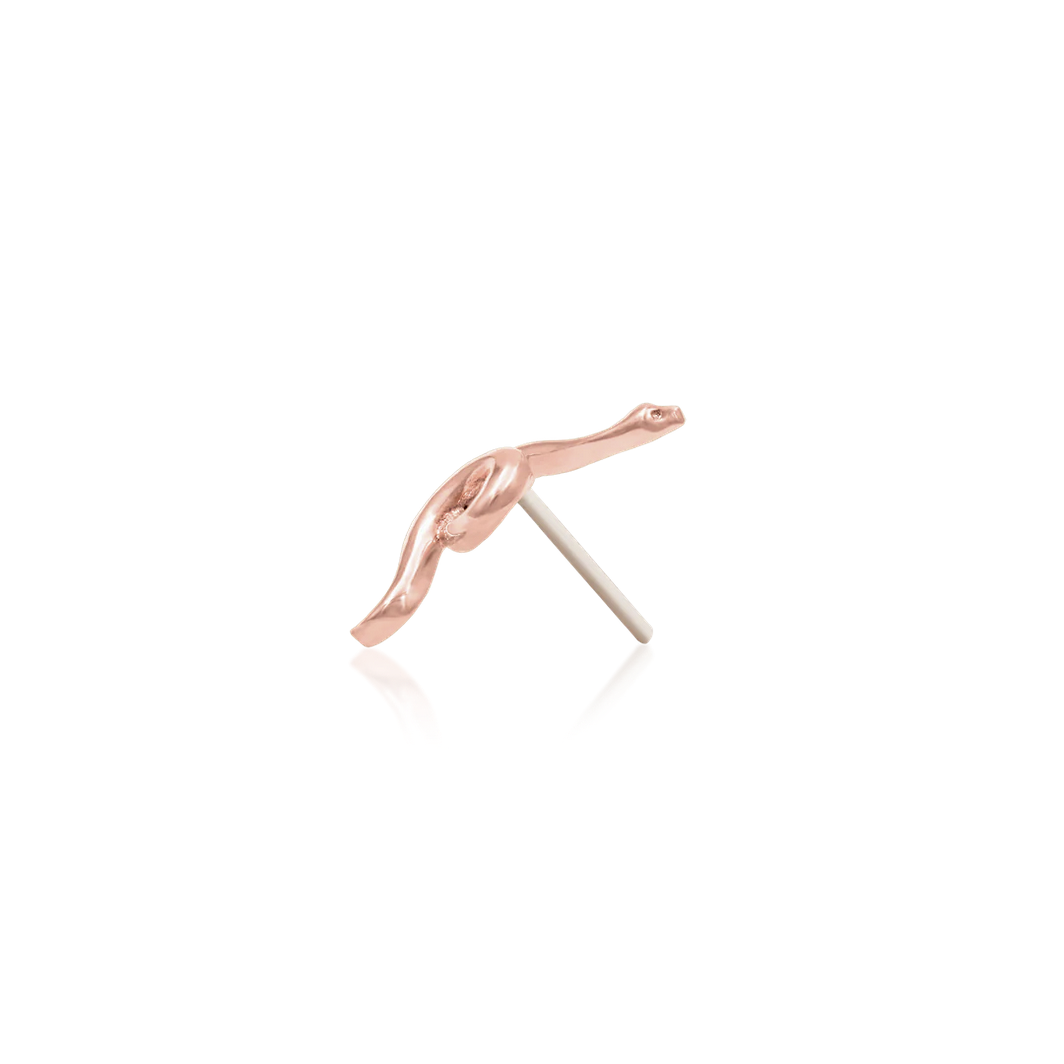 Snake — Junipurr