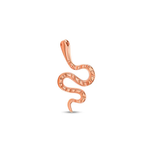 Snake from Norvoch