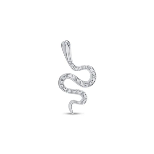 Snake from Norvoch