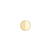 Solid Gold Flat Disc Half Matte — Modern Mood