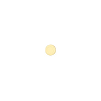 Solid Gold Flat Disc — Modern Mood