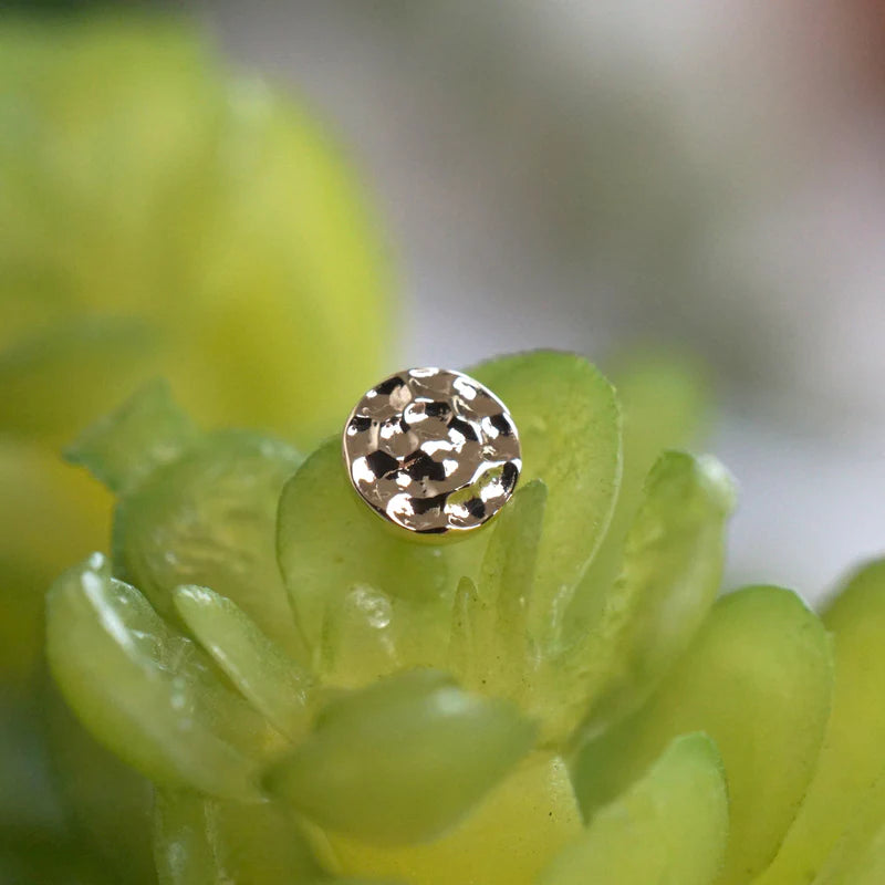 Solid Gold Hammered Disc — Modern Mood