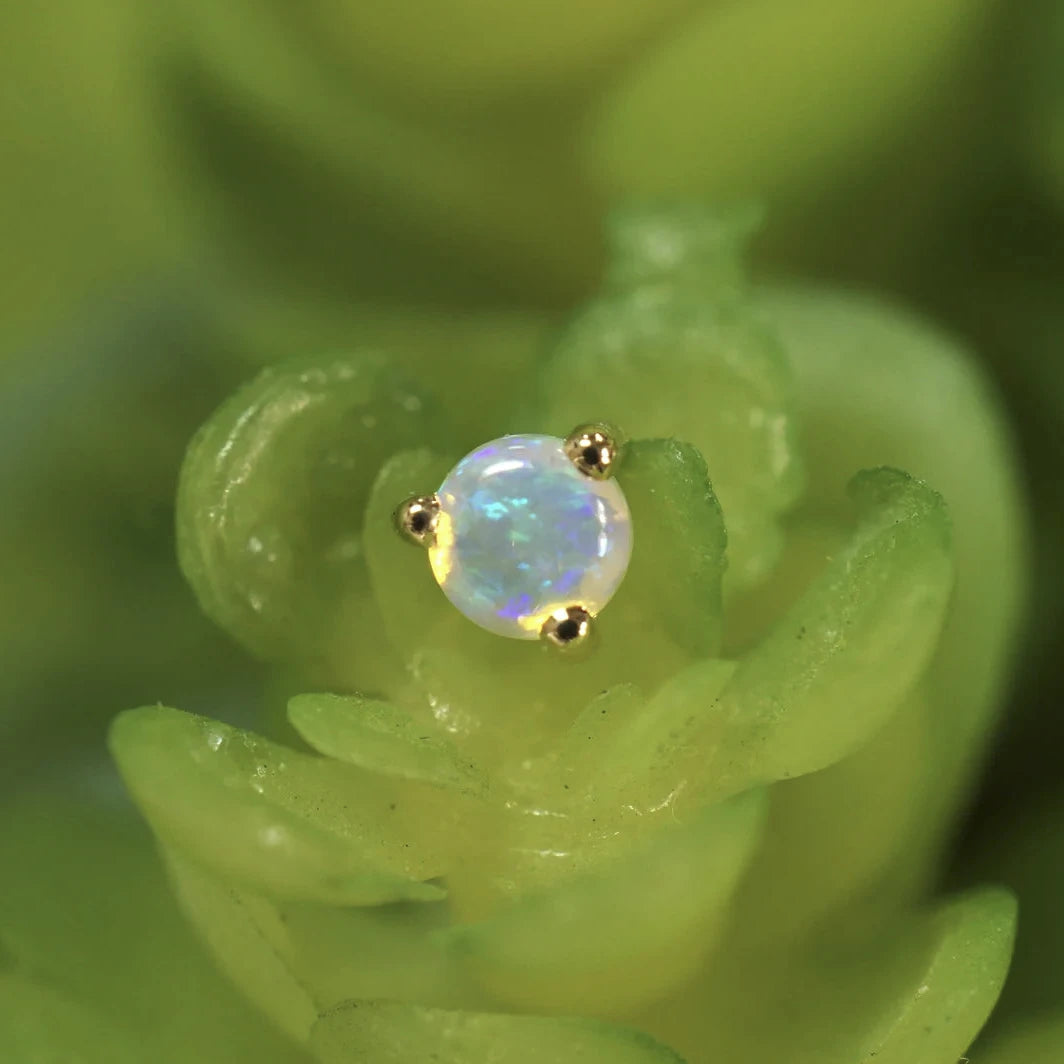 Aura Cabochon Round Solitaire — Modern Mood