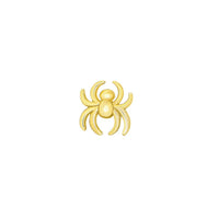 Spider from Mushroom — M.US.HROOM