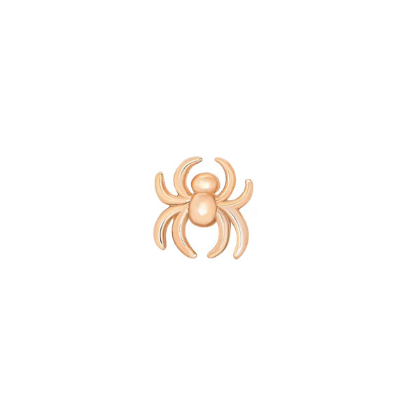 Spider from Mushroom — M.US.HROOM