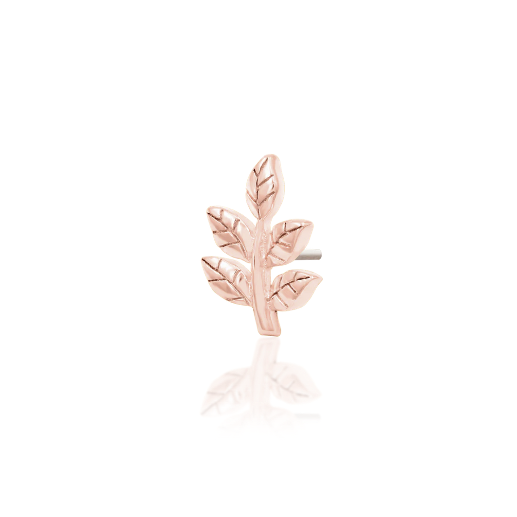 Sprig from Junipurr Rose Gold (Vault)
