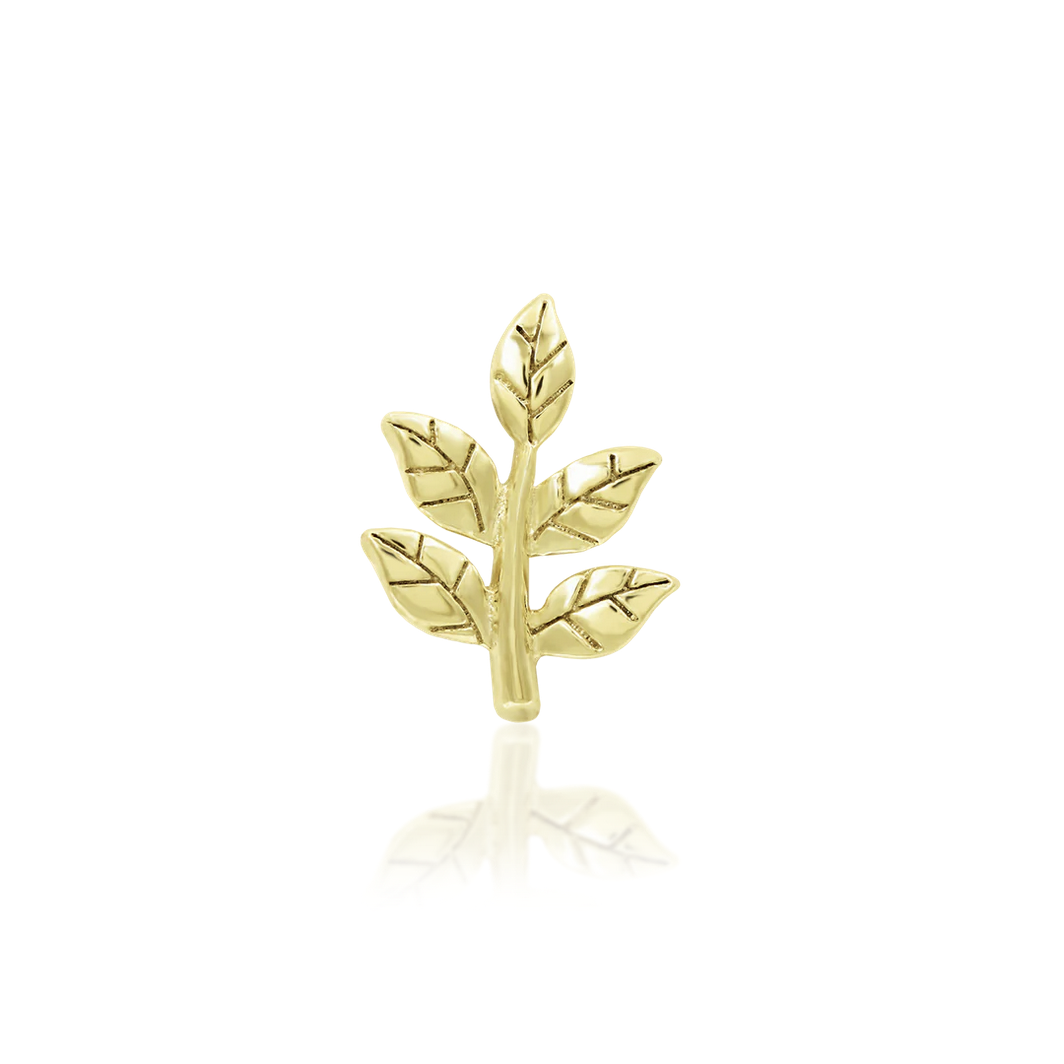 Sprig from Junipurr