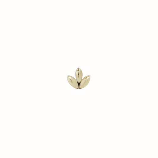 Sprout from Maya