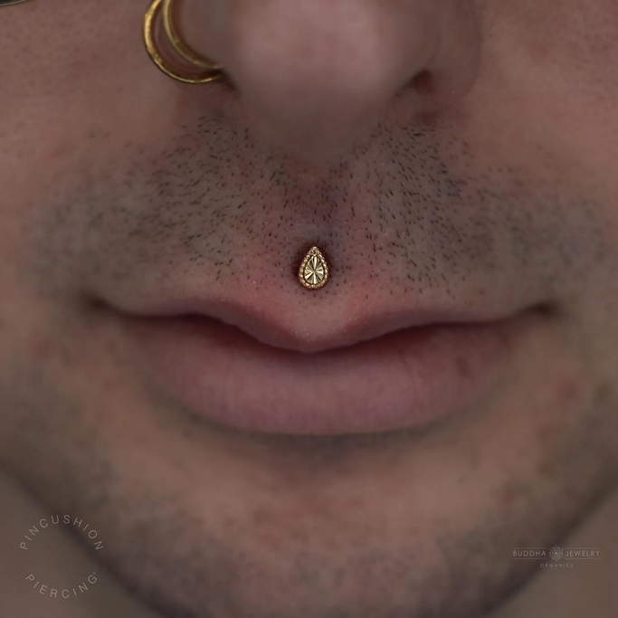 Stay Gold — Buddha