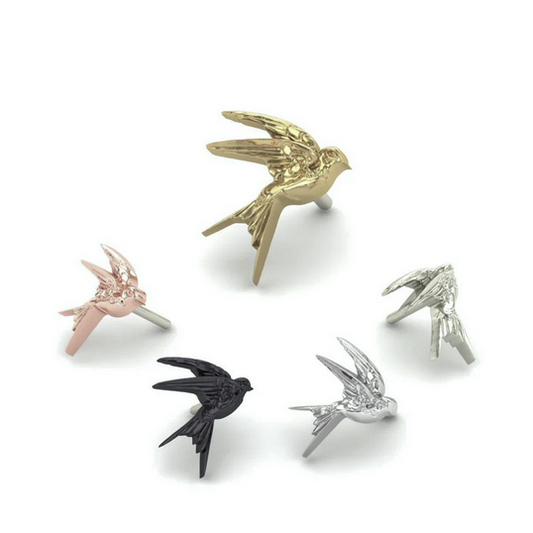 Swallow from Mushroom