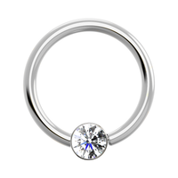 Titanium Fixed Bezel Ring