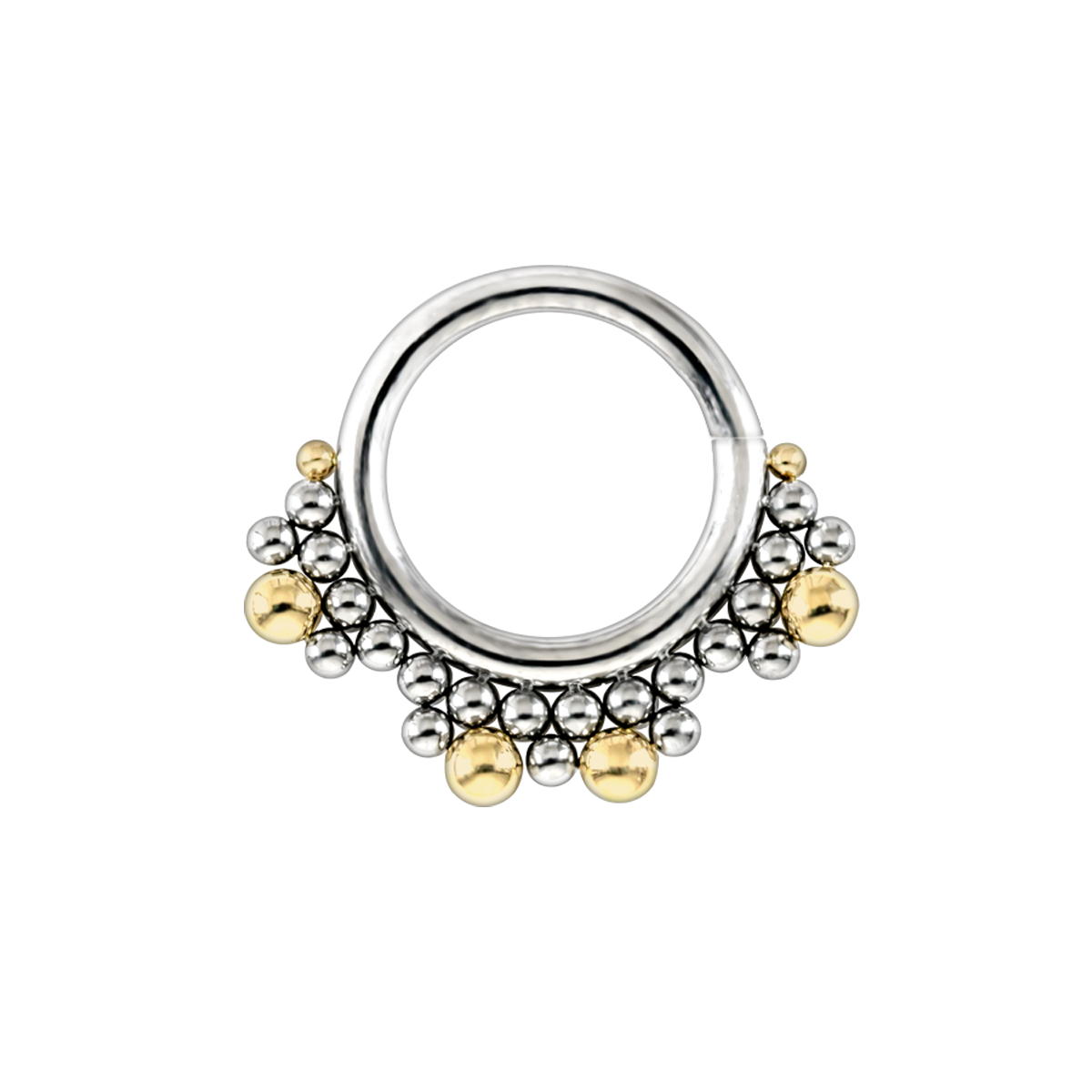 Tiauri