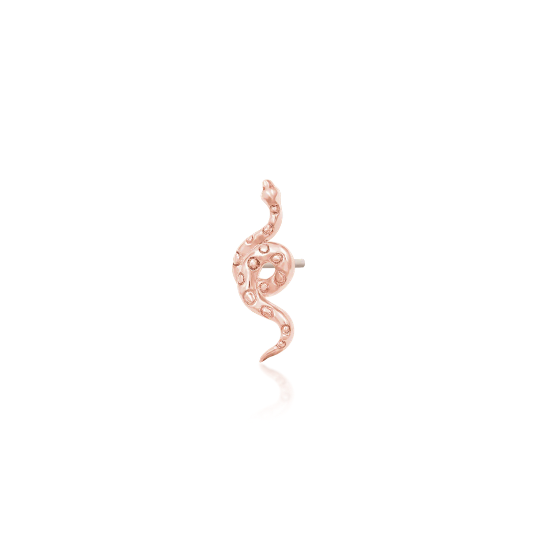 Textured Snake — Junipurr