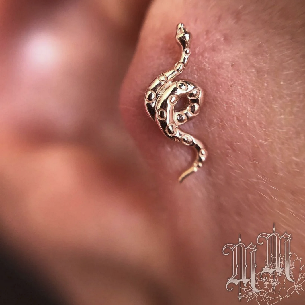 Textured Snake — Junipurr
