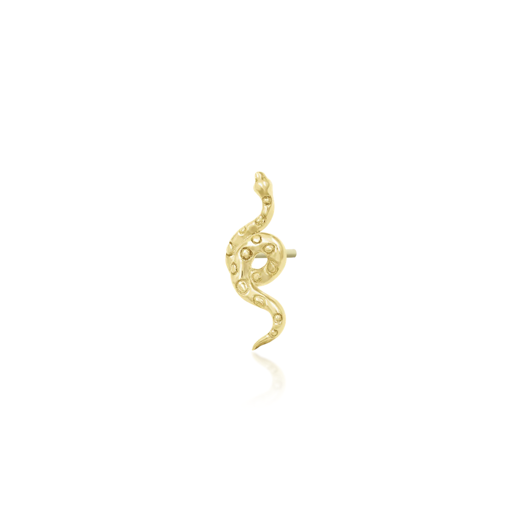 Textured Snake — Junipurr