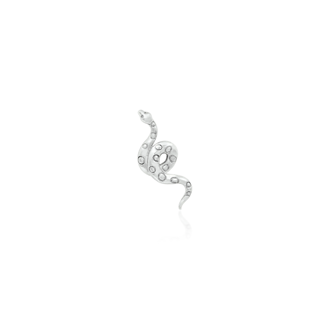 Textured Snake — Junipurr