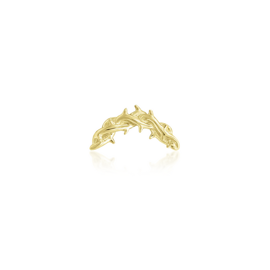 Thorn Arc from Junipurr