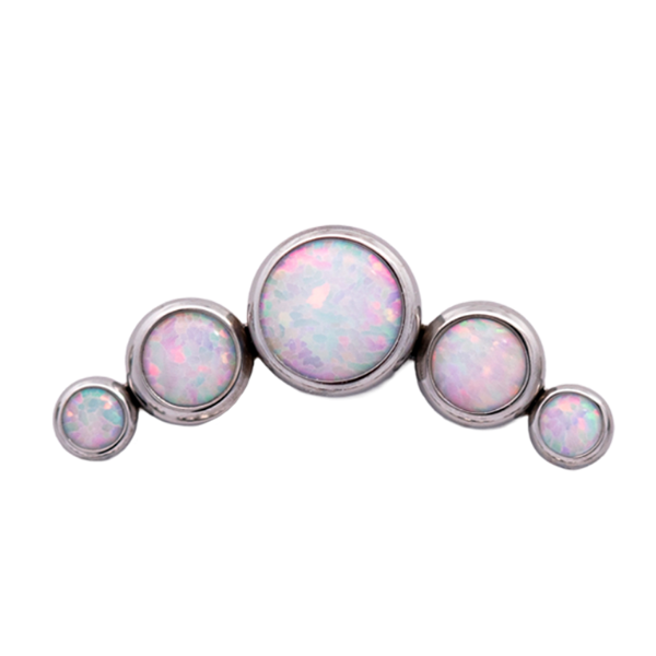 Titanium Curved 5 Gem Cluster