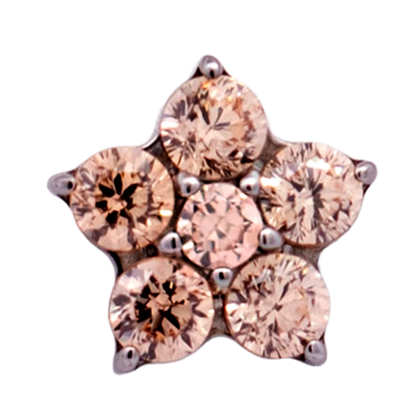Titanium Flower Gem (5 petals)