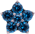 Titanium Flower Gem (5 petals)