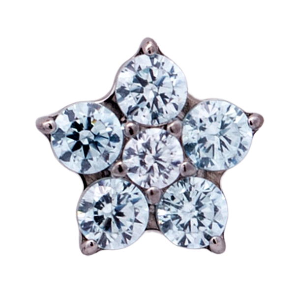 Titanium Flower Gem (5 petals)