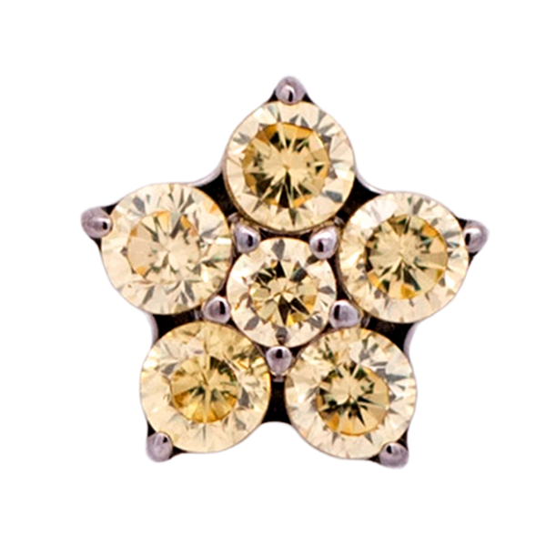 Titanium Flower Gem (5 petals)