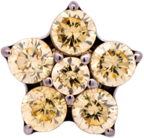 Titanium Flower Gem (5 petals)