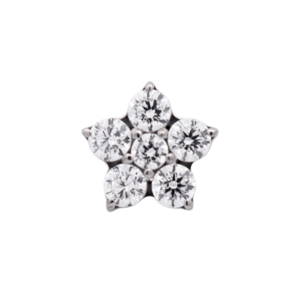 Titanium Flower Gem (5 petals)