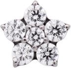 Titanium Flower Gem (5 petals)
