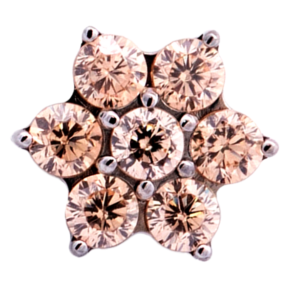 Titanium Flower Gem (6 petals)