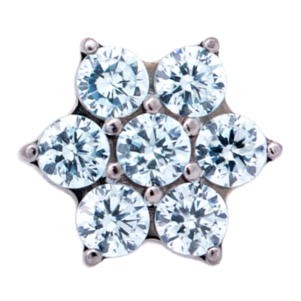 Titanium Flower Gem (6 petals)