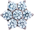 Titanium Flower Gem (6 petals)