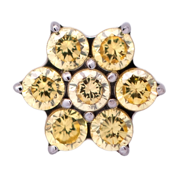 Titanium Flower Gem (6 petals)