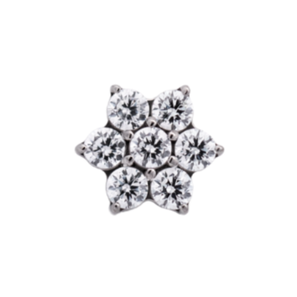 Titanium Flower Gem (6 petals)