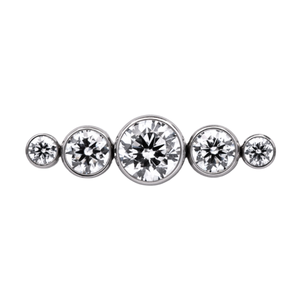 Titanium Straight 5 Gem Cluster
