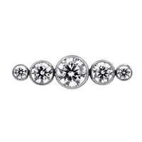 Titanium Straight 5 Gem Cluster
