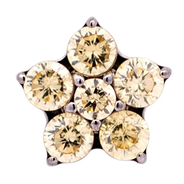 Titanium Flower Gem (5 petals)