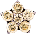 Titanium Flower Gem (5 petals)