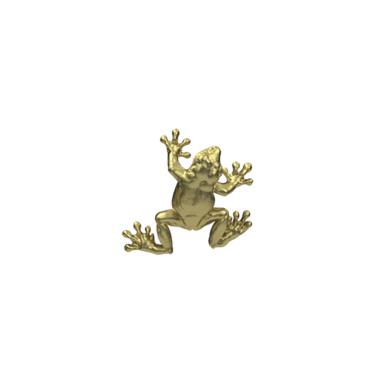Tree Frog — Anatometal
