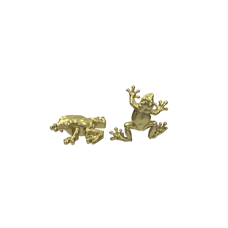Tree Frog — Anatometal