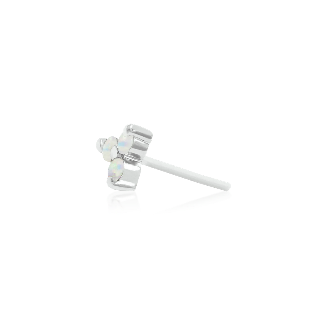 Trinity with Opal — Junipurr
