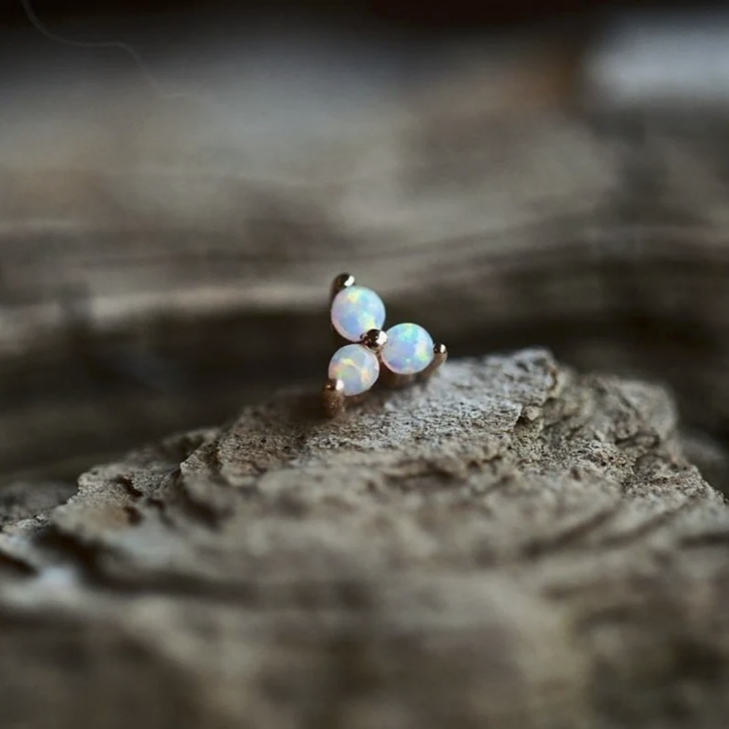 Trinity with Opal — Junipurr