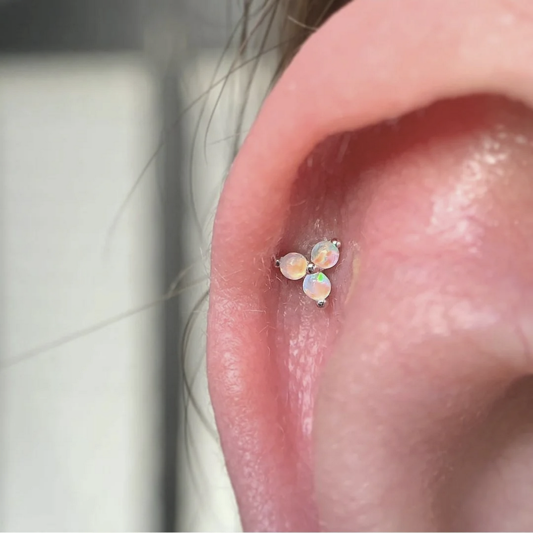 Trinity with Opal — Junipurr