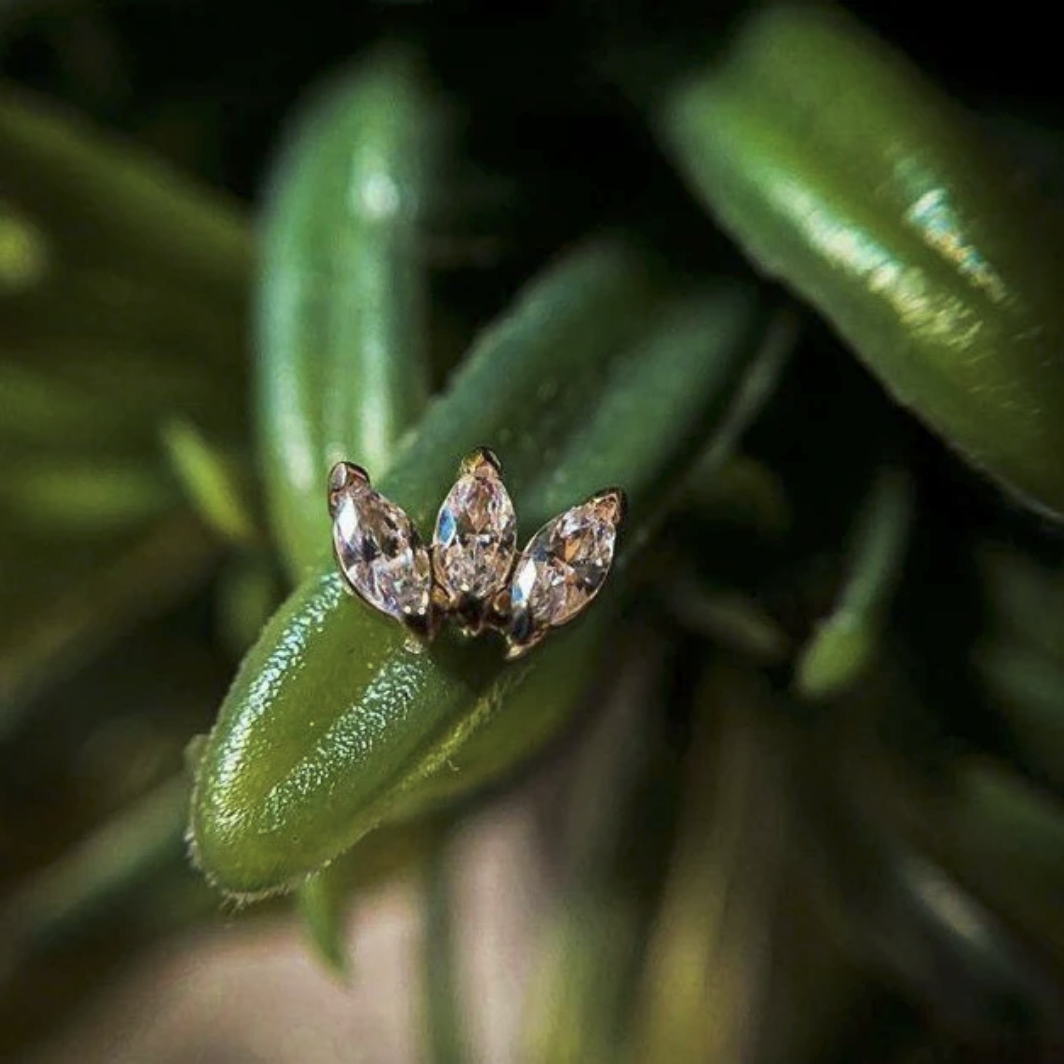 Triple Marquise CZ from Junipurr