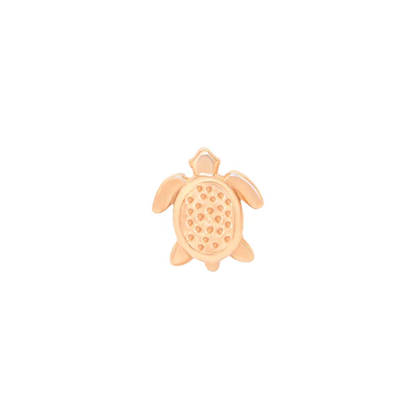 Turtle From Mushroom