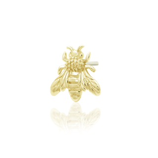 Wasp from Junipurr