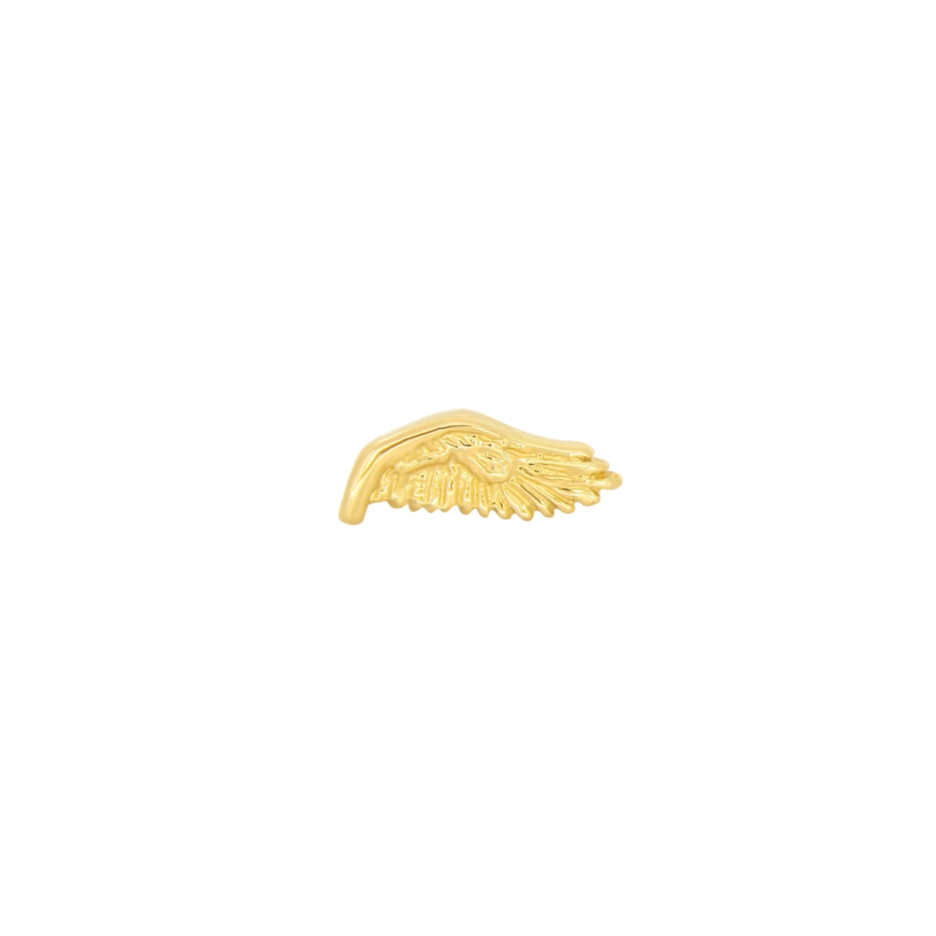 Wing From Mushroom — M.US.HROOM