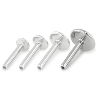 A row of threadless titanium 18 gauge Labrets with the 5mm disk back highlighted