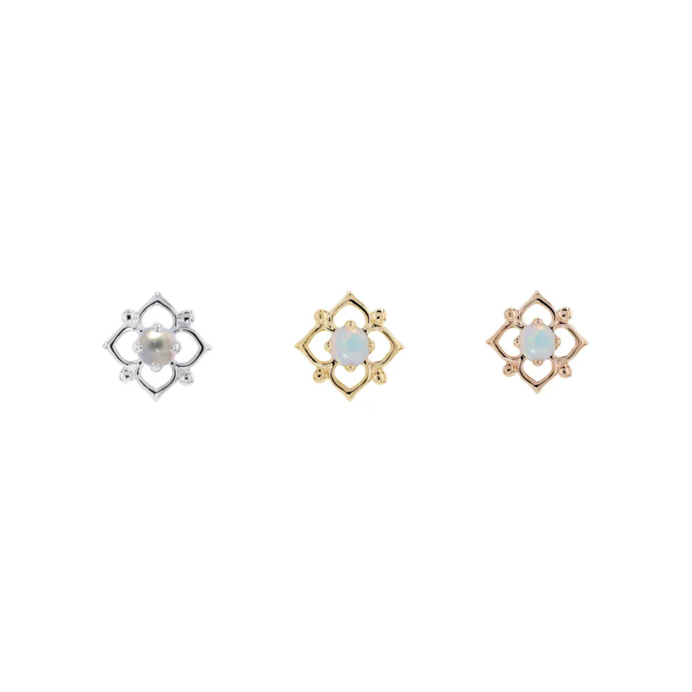 Yofi Dot from Modern Mood